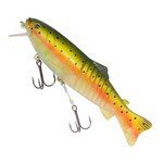 SUNDANCE XP LURE 250MM BROOK TROUT