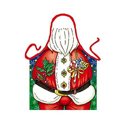 Everflag Apron: Santa Claus