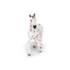 Papo Hand-Painted Appaloosa Mare Figure, Brown, 51509 view 4