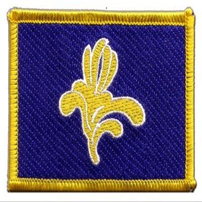 Belgium Brussels-Capital Region Flag Patch – 8 x 6 cm