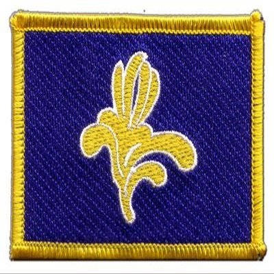 Belgium Brussels-Capital Region Flag Patch – 8 x 6 cm