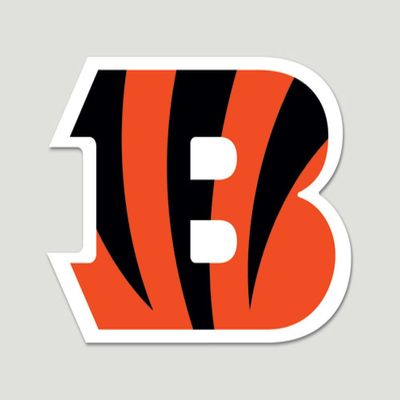 NFL Cincinnati Bengals Die-Cut Color Decal, 20.3 x 20.3 cm, Team Color