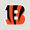 NFL Cincinnati Bengals Die-Cut Color Decal, 20.3 x 20.3 cm, Team Color view 1