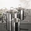 Schulte-Ufer Wega Roasting Pot, Stainless Steel, 16 cm, Silver view 3