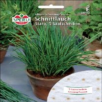 Chives 'Staro' Seed Discs