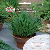 Chives 'Staro' Seed Discs view 1