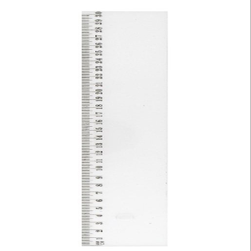 JPC 950345 Flat Ruler, 300 mm, Plastic