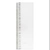 JPC 950345 Flat Ruler, 300 mm, Plastic view 1