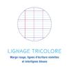 Clairefontaine 3791C Notebook, 17 x 22 cm, 16 Sheets, 90 gsm, French Ruling, Stitched, Assorted Colors, 1 Count view 3