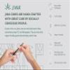 JIWA 100 Pre-Rolled Cones, 109 mm, Conical, with 26 mm Filter Tips and Filling Aid view 4