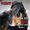 Indigos UG FunSign Door Sign SE249 DIN A4 “Beware of Dog: Beauceron” view 1