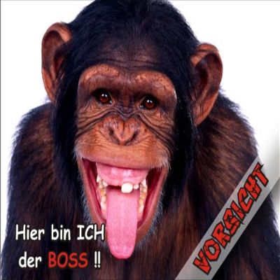 PEMA INDIGOS UG Fun Door Sign SE806 – Beware of Monkey – Chimpanzee – DIN A4, 3 mm PVC