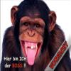 PEMA INDIGOS UG Fun Door Sign SE806 – Beware of Monkey – Chimpanzee – DIN A4, 3 mm PVC view 1