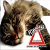 Indigos UG Fun Sign Door Sign SE763 DIN A4 Beware of Cat Norwegian Forest Cat view 1