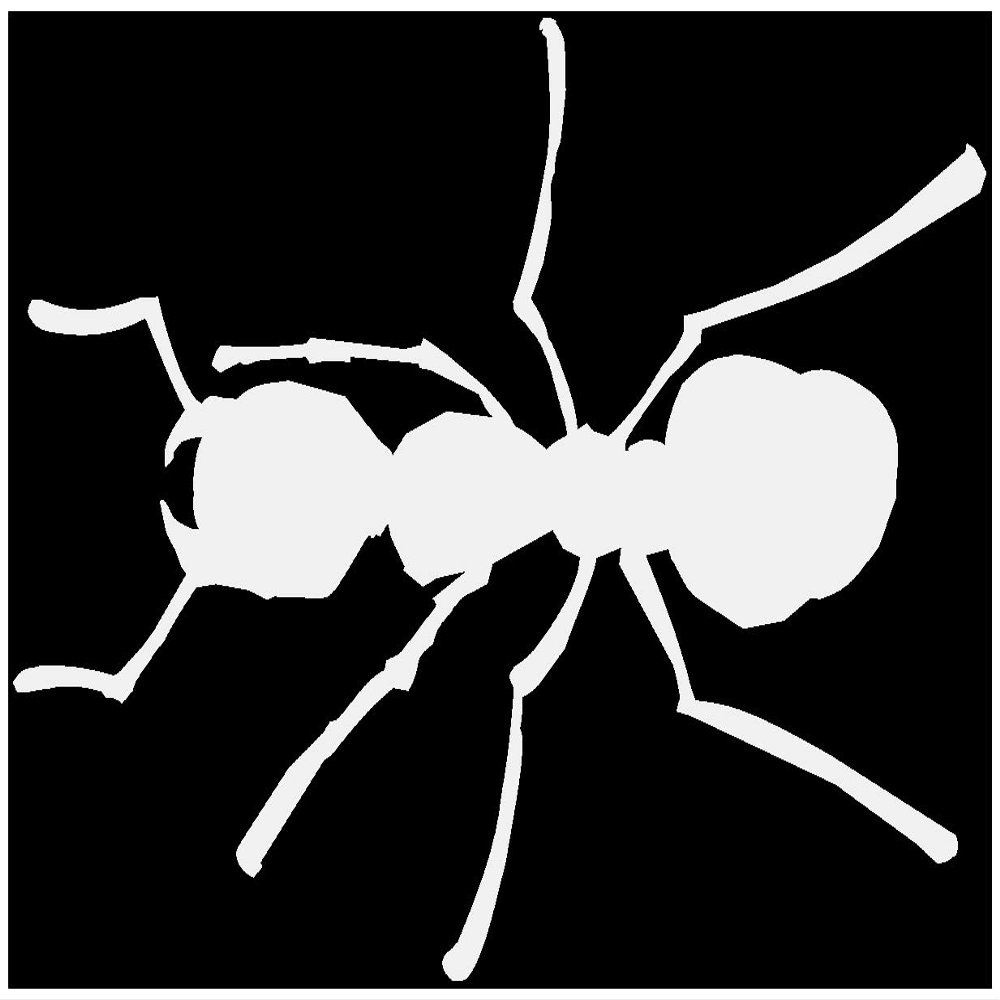 Samunshi Ant Sticker, Design 818, 8 x 5.7 cm, Light Gray