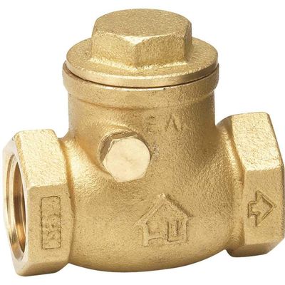 Moen 2402-114114 1-1/4 in. Brass Swing Check Valve