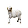 Sheep Looking Left, Suitable for 15 to 13 cm Figures view 1