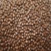 Tomodachi Premium Koi High Energy + Spirulina Koi Food, 10 kg, 6 mm Pellets view 2