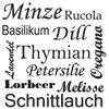 GRAZDesign Kitchen Wall Decal Spices & Herbs | Self-Adhesive Kitchen Sticker - 58 x 57 cm / 062 Light Green view 3
