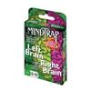 MindTrap: Left Brain Right Brain view 1