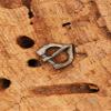 Battle-Merchant Medieval Brass Buckle, DIY, Approx. 15 mm, No. 18 view 2