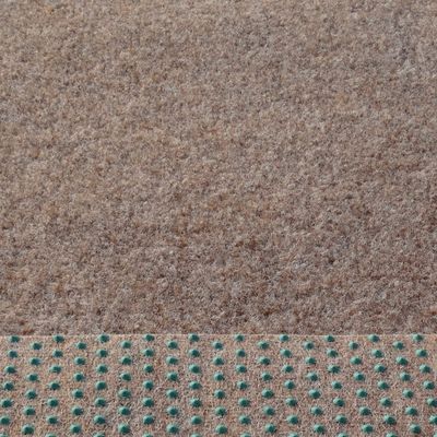 Artificial Grass Rug with Nubs, 133/200 cm Wide, Soft, Beige-Brown