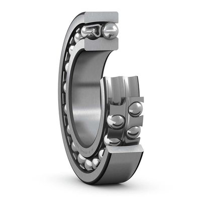 SKF Self-Aligning Ball Bearing 1218