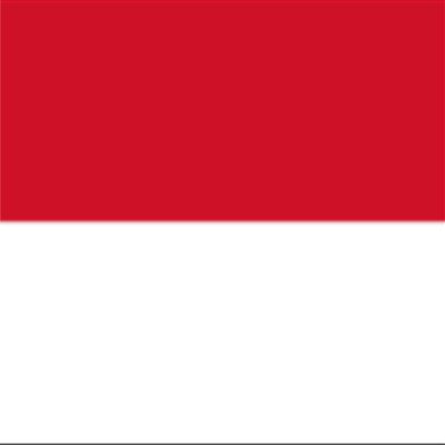 Viper Stripes Car Decals, Monaco National Colors, 2-in-1 Set, 400 x 20 cm