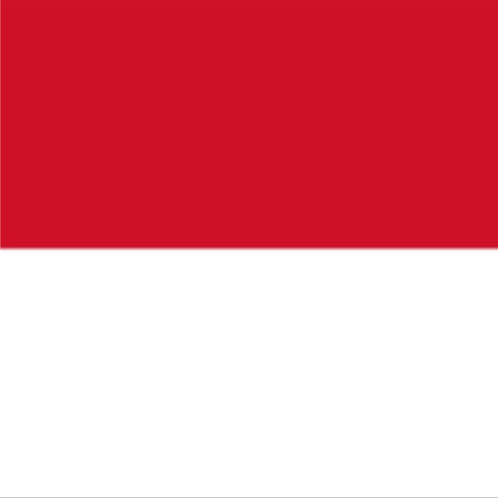 Viper Stripes Car Decals, Monaco National Colors, 2-in-1 Set, 400 x 20 cm