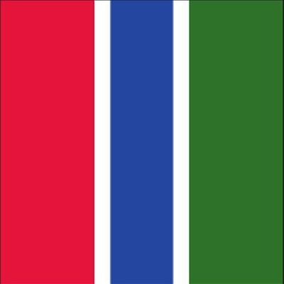 flaggenmeer Gambia Flag 110 g/m, approx. 300 x 120 cm