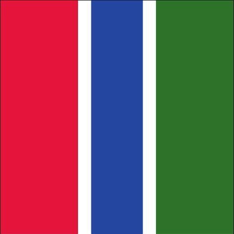 flaggenmeer Gambia Flag 110 g/m, approx. 300 x 120 cm