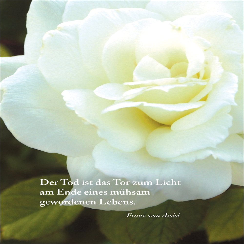 Kartenkaufrausch Condolence Card: “Death Is the Gate to the Light at the End of a Life That Has Become Difficult” – Sympathy Card with Rose