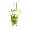 Kikkerland CU75 Paper Straws, Green, 22.8 x 15.2 x 4 cm view 2