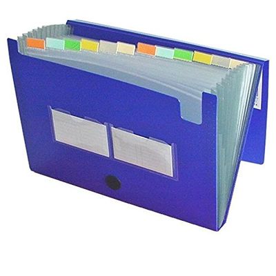 EXXO by HFP A4 Expanding File Folder, 12 Pockets, Blue