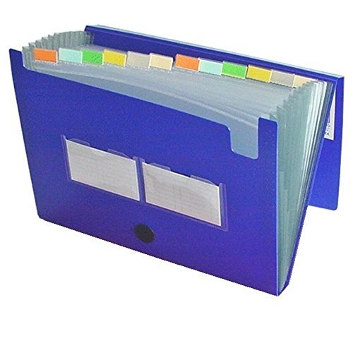 EXXO by HFP A4 Expanding File Folder, 12 Pockets, Blue