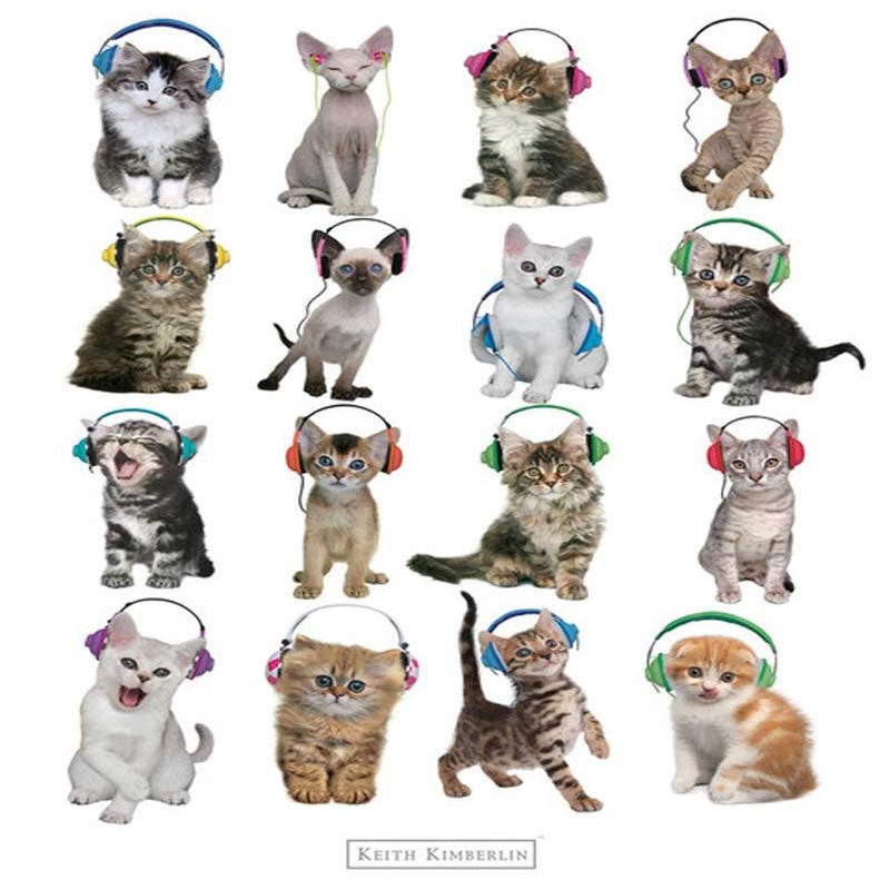 Kimberlin, Keith - Mini Poster - Kitten Headphones