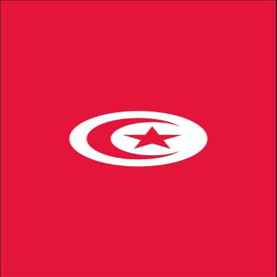 flaggenmeer Tunisia Flag, 160 g/m, approx. 200 x 80 cm