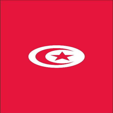 flaggenmeer Tunisia Flag, 160 g/m, approx. 200 x 80 cm