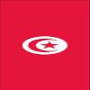 flaggenmeer Tunisia Flag, 160 g/m, approx. 200 x 80 cm view 1
