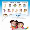 Yo-Yee French Language Development Flashcards: Body Parts view 1