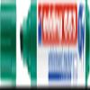edding 663 Green Whiteboard Marker, Chisel Tip 1–5 mm, 1 Marker view 2