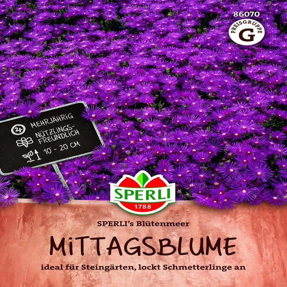 Sperli Ice Plant Seeds “SPERLI’s Sea of Blooms” 86070, Flower Seeds