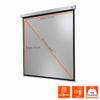celexon Professional Plus Motorized Projection Screen 65" | 120 x 120 cm, 1:1 view 2