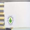 Baldiflex Natural Latex Mattress, 20 cm, 80 x 200 cm, Aloe Vera, Memory Foam Pillow Included view 2