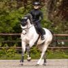Swing P06 Back Protector, Black, Adult Size L view 3
