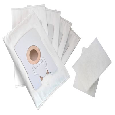 FSProdukte 10 Vacuum Cleaner Bags with 2 Motor Protection Filters