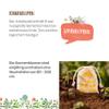 Die Stadtgärtner Sunflower Seed Bombs | 8 Handmade Seed Bombs with 5 Sunflower Varieties | 100% Eco-Friendly, Lasts at Least 2 Years view 3