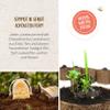 Die Stadtgärtner Sunflower Seed Bombs | 8 Handmade Seed Bombs with 5 Sunflower Varieties | 100% Eco-Friendly, Lasts at Least 2 Years view 4