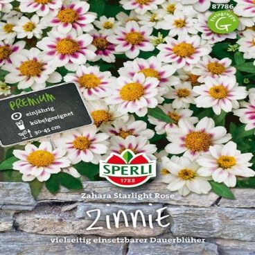 Zinnia ‘Zahara Starlight Rose’