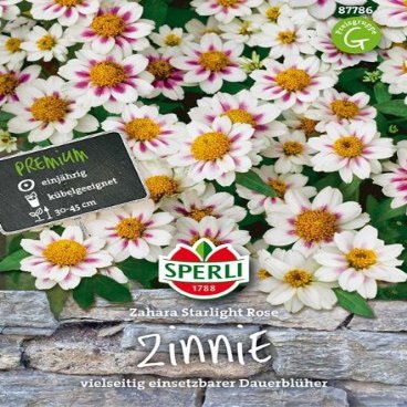 Zinnia ‘Zahara Starlight Rose’